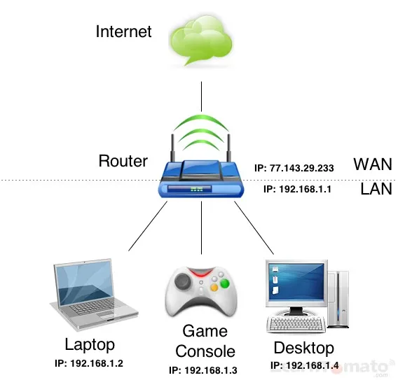 شرح الـ LAN و WAN والإنترنت