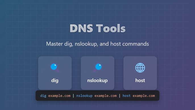 شرح الـ nslookup و dig