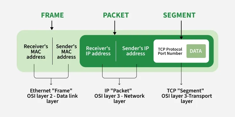 شرح الـ Packet و Frame